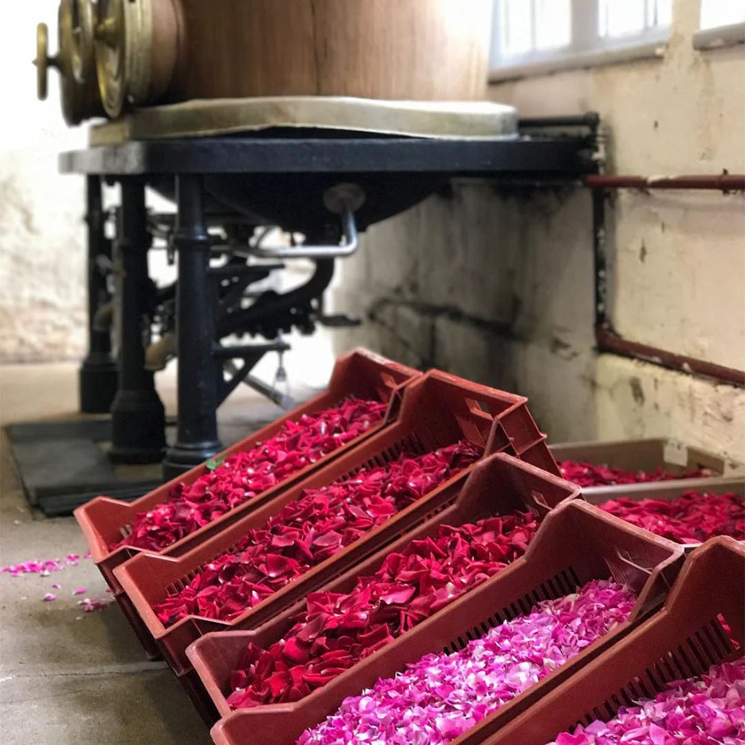 Combier Distillery's Artisanal "La Folie" Syrups 70cl - Image 15